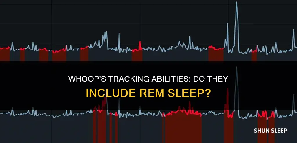 does whoop track rem sleep