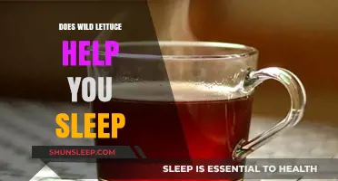 Wild Lettuce for Sleep: Natural Remedy or Myth?
