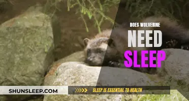 Wolverine's Superhuman Ability: Does He Need Sleep?