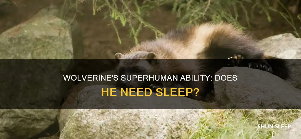 does wolverine need sleep