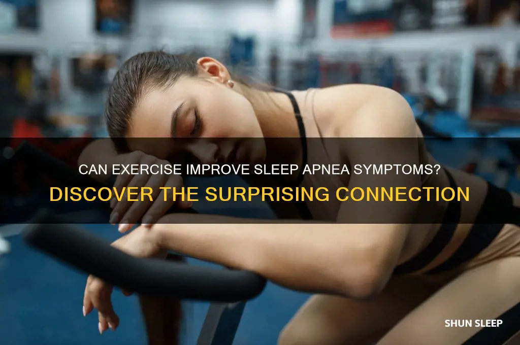 does working out help sleep apnea