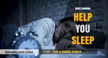 Yawning and Sleep: Unraveling the Surprising Connection for Better Rest
