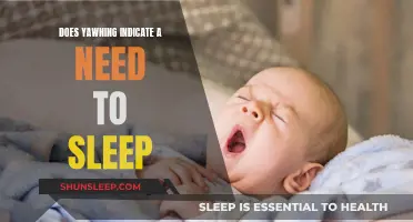 Yawning: A Sleep Signal or Something More Complex?