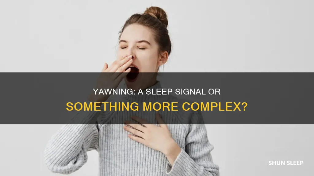 does yawning indicate a need to sleep