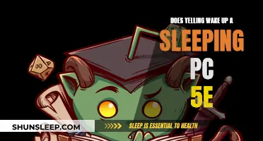 Does Yelling Wake Up a Sleeping PC in D&D 5e?