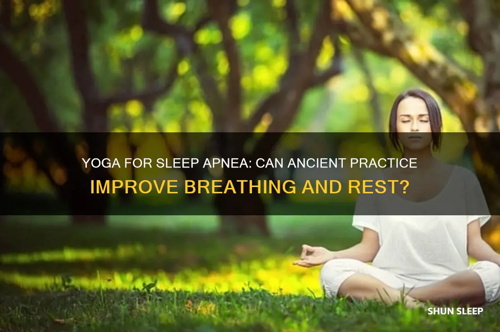 does yoga help sleep apnea