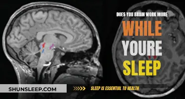 Brain Activity While Asleep: Unconscious Mind at Work