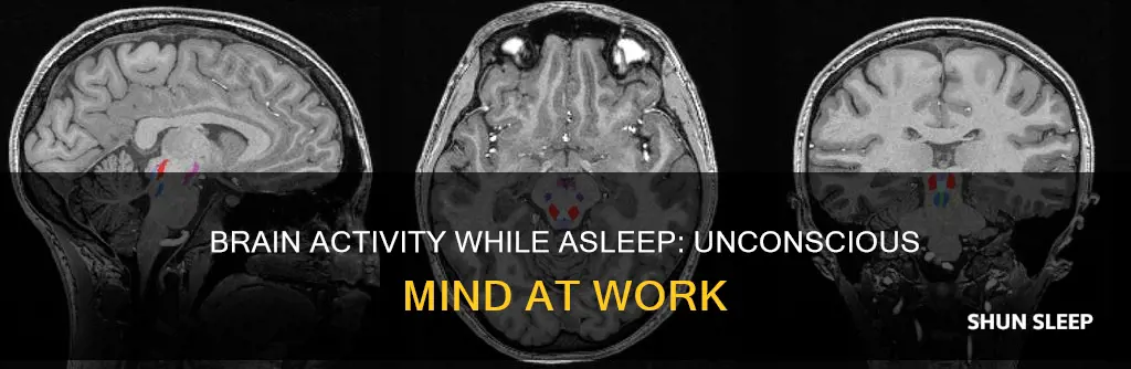 does you brain work more while youre sleep