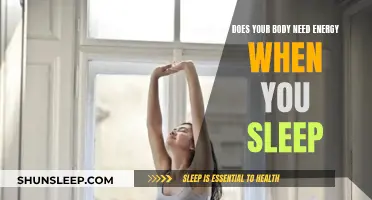How Much Energy Does Your Body Need During Sleep?