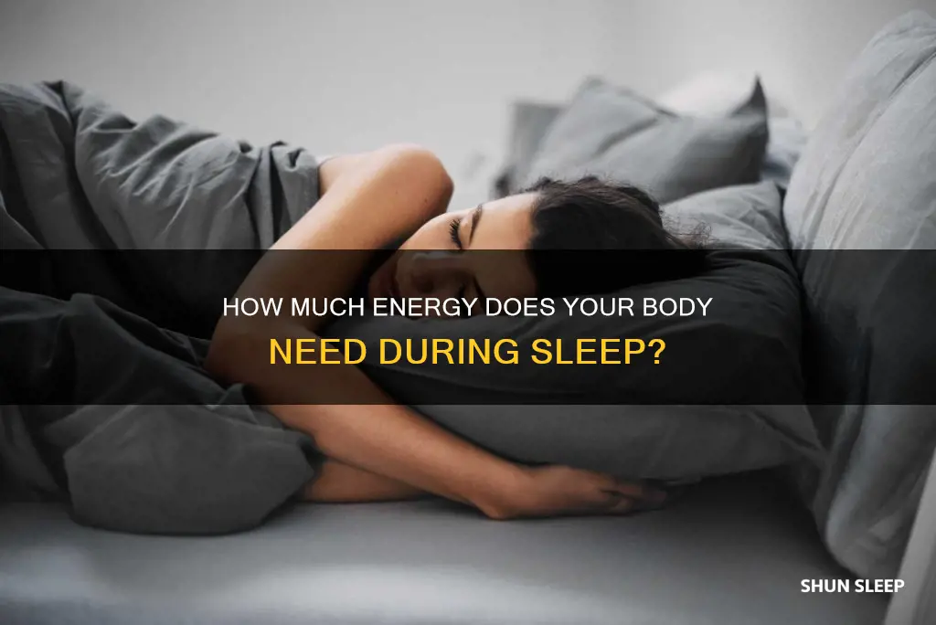 does your body need energy when you sleep
