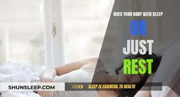 Exploring Sleep and Rest: What Does the Body Need?