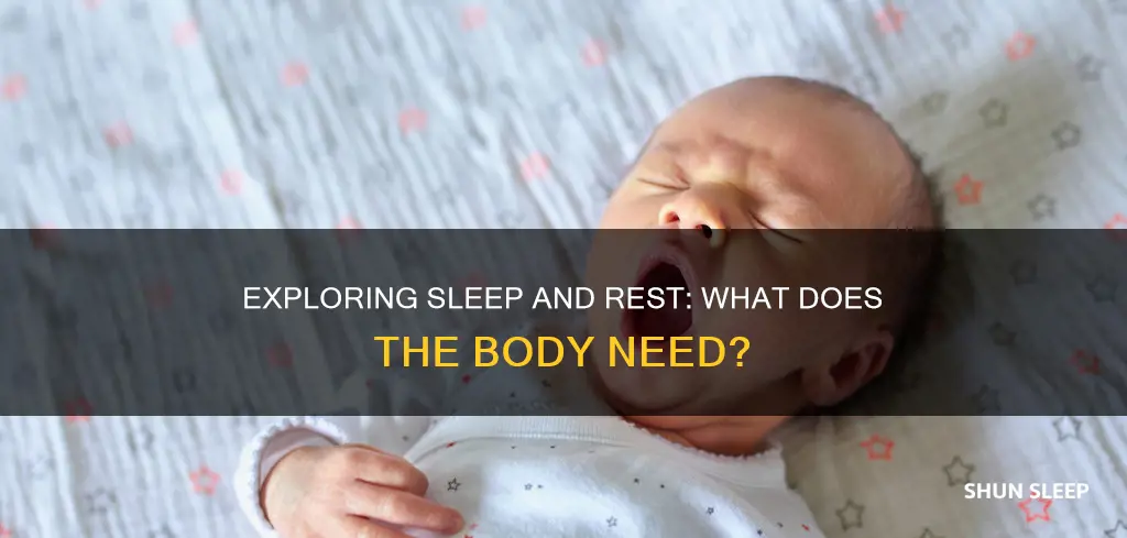 does your body need sleep or just rest