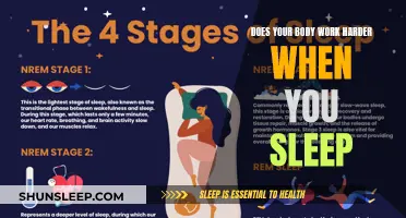 How Your Body Works Overtime While You Sleep