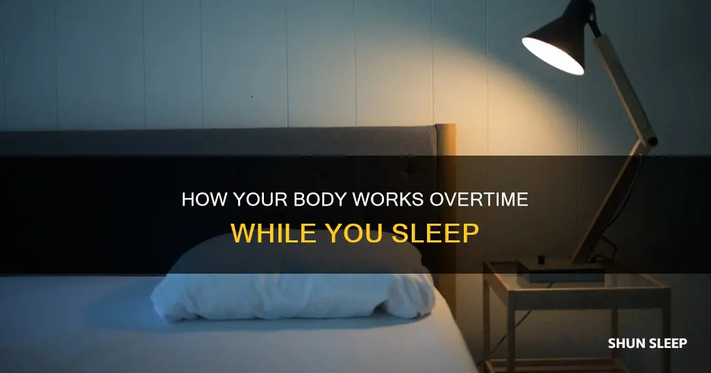 does your body work harder when you sleep