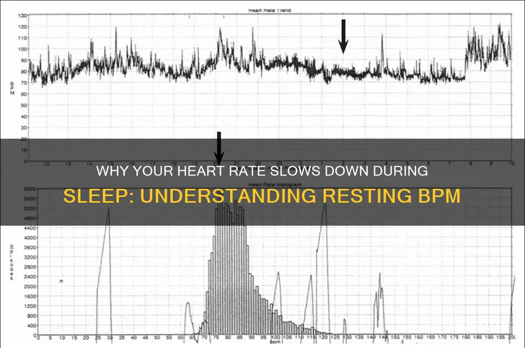 does your bpm get very slow when you sleep