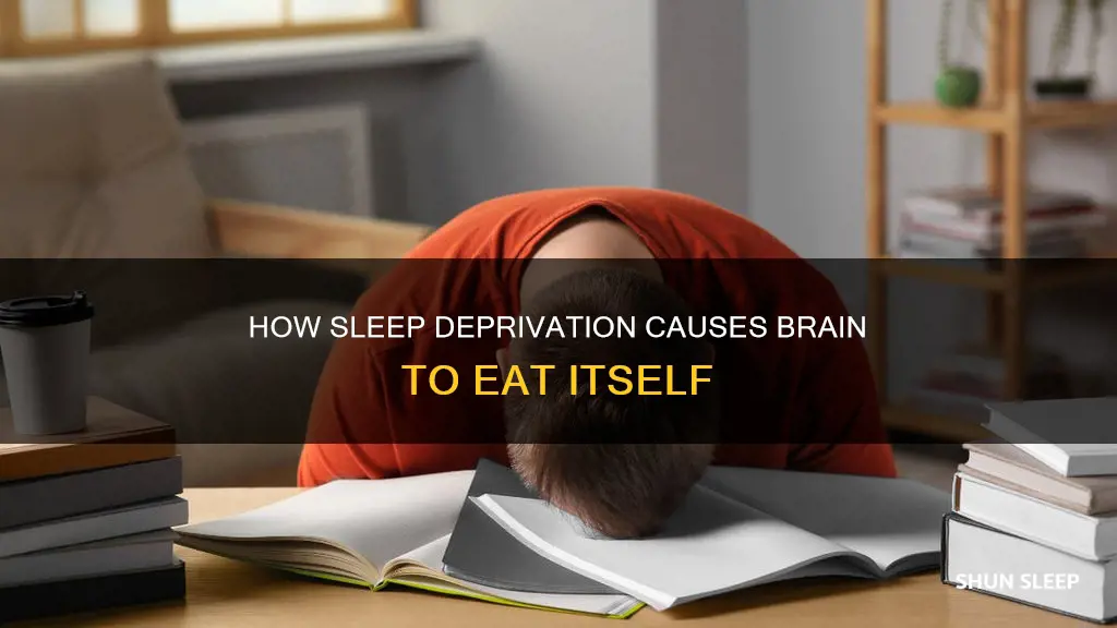does your brain eat itself without sleep