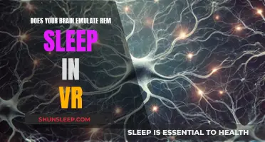 VR's Effect on the Brain: Emulating REM Sleep