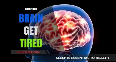 Does Your Brain Get Tired? Unraveling Mental Fatigue and Its Impact