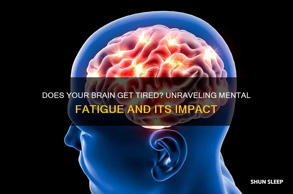 does your brain get tired