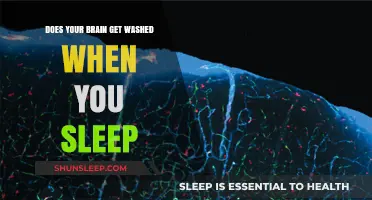 Sleep's Secret: Does Your Brain Undergo a Nightly Cleanse?