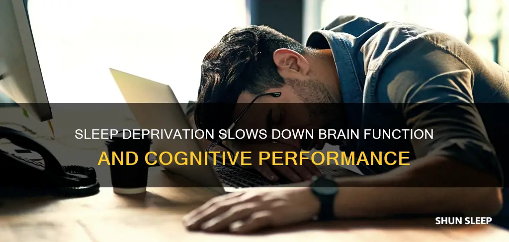 does your brain work slower without sleep