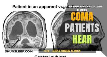 Brain Activity: Learning While Sleeping or in a Coma