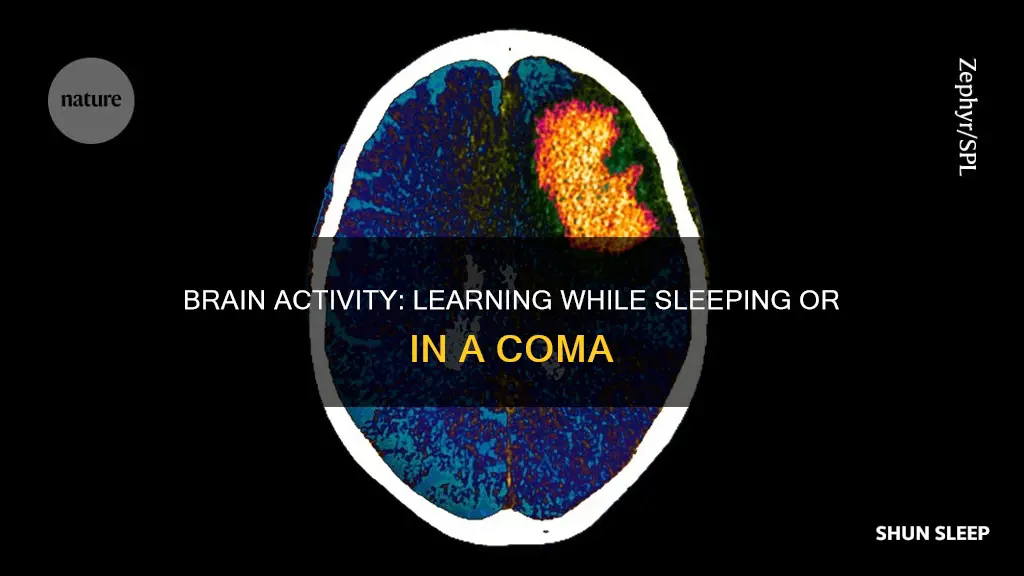 does your brain work while sleeping learning coma patients hear
