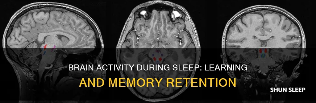 does your brain work while sleeping learning