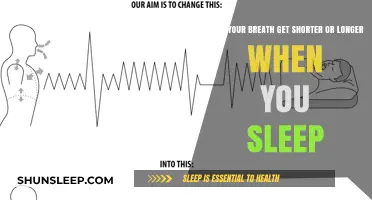 Breathing Patterns During Sleep: Shorter or Longer Breaths Explained