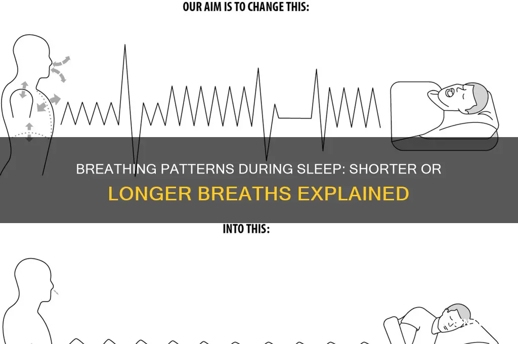 does your breath get shorter or longer when you sleep