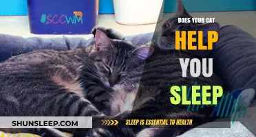 Purring Partners: How Cats Enhance Your Sleep Quality and Relaxation