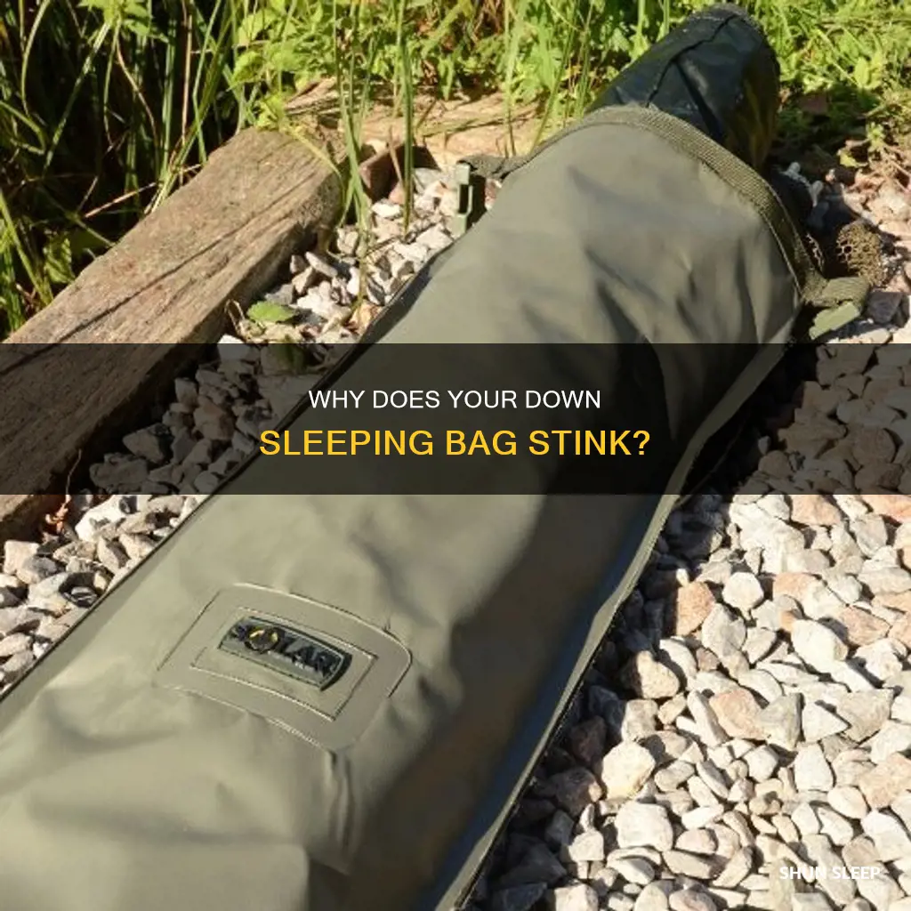does your down sleeping bag stink