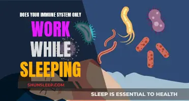 Immune System: Sleep's Role in Fighting Diseases