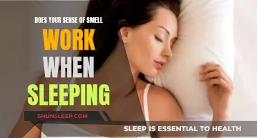 How Smell Works While You Sleep