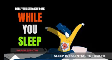 How Your Stomach Works While You Sleep