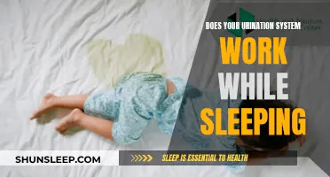 How Does Sleep Affect Your Urination System?