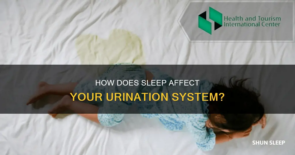 does your urination system work while sleeping