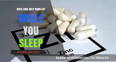 Zinc's Role in Nighttime Fat Burning: Myth or Reality?