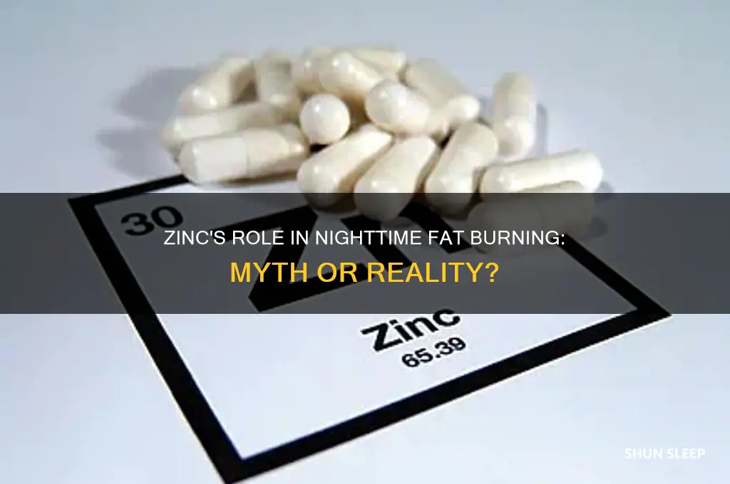 does zinc help burn fat while you sleep