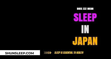 The Meaning of ZZZ in Japanese Sleep Culture