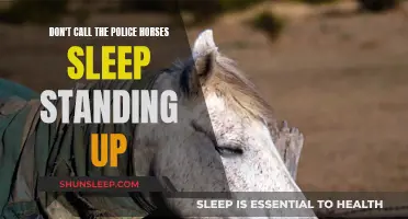 Why Horses Stand While Sleeping: No Need to Call Cops