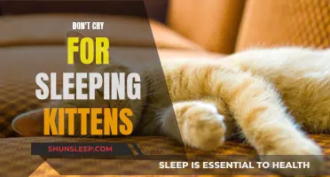 The Peaceful Sleep of Kittens: No Need for Tears