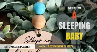 Let Sleeping Babies Lie: The Art of Preserving Peaceful Slumber