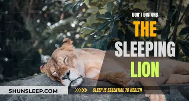 The Sleeping Lion: A Warning to the Wise