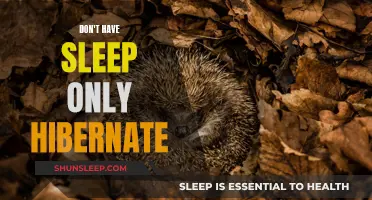 Hibernation: The Ultimate Sleep Alternative