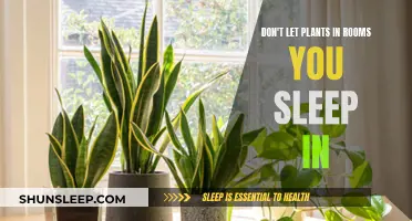 Plants in Bedrooms: A Recipe for Sleepless Nights?