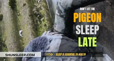 Let the Pigeon Sleep: Peaceful Morning Routines