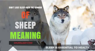 Sheep's Opinions: Why Lose Sleep?