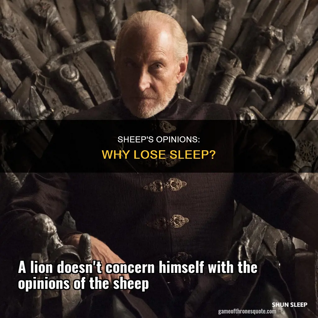 don