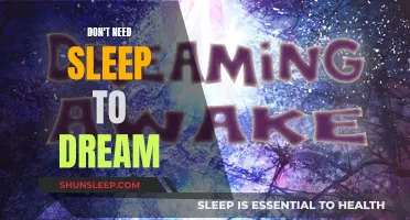 Dreaming Without Sleep: Exploring the Mind's Nightly Wanderings